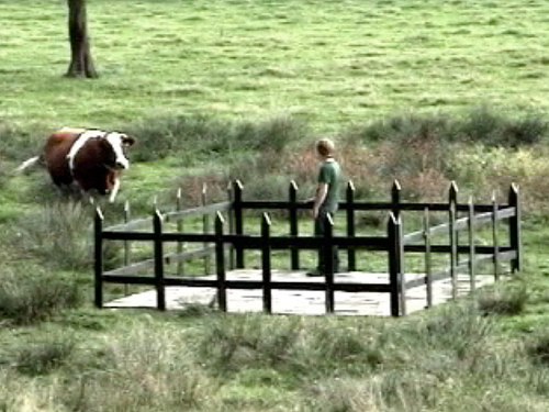 nieuws/i_399/Nouvelles_scenes_des_Pays_Bas.jpg