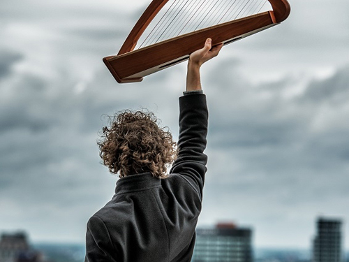 produktie/i_1036/DutchHarpFestival.jpg
