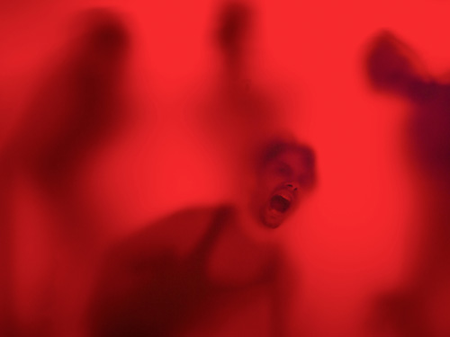 produktie/i_1368/heartofdarknessprojectwildemanvoorpublic.jpg